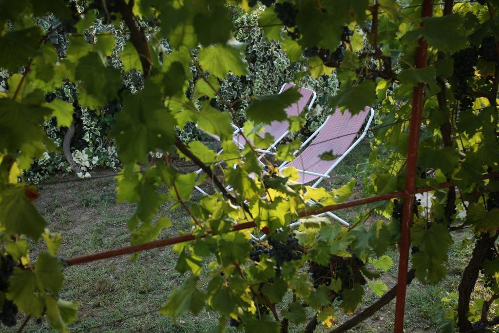 Kucica Ljubcek Villa Privlaka  Bilik gambar