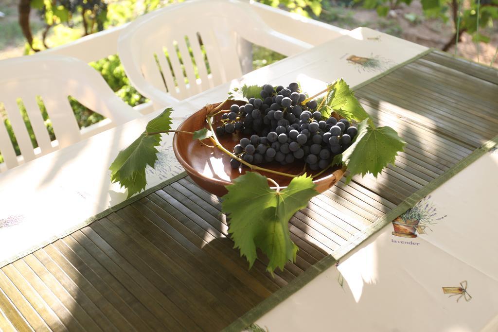 Kucica Ljubcek Villa Privlaka  Bilik gambar